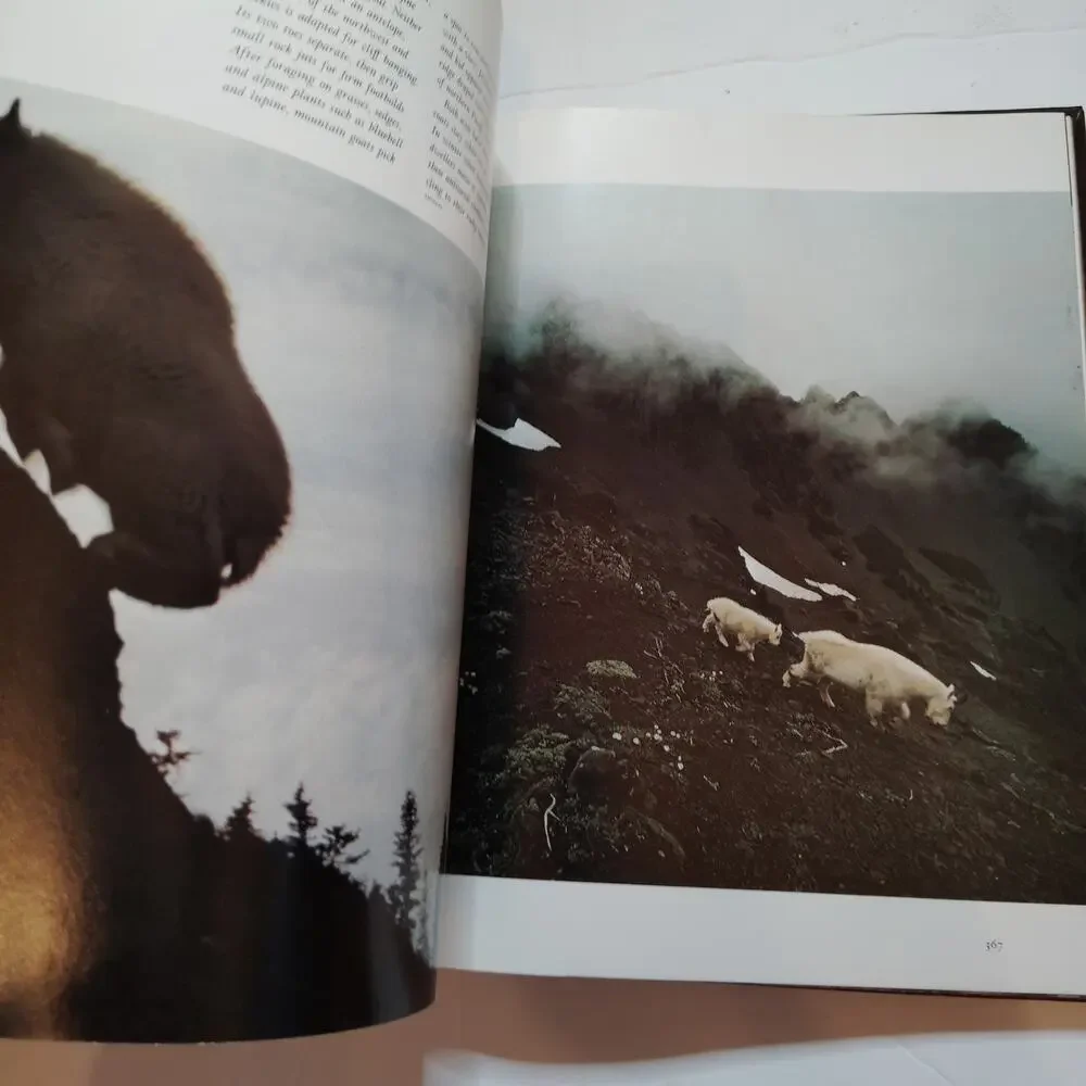 Our Continent Natural History of North America 1976 Hardcover - LN - One Owner